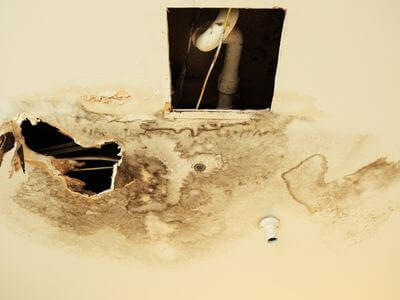 Professional ceiling water damage repair services in Newark - water damage cleanup